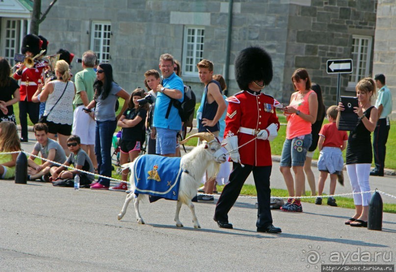 По плацу козла водили