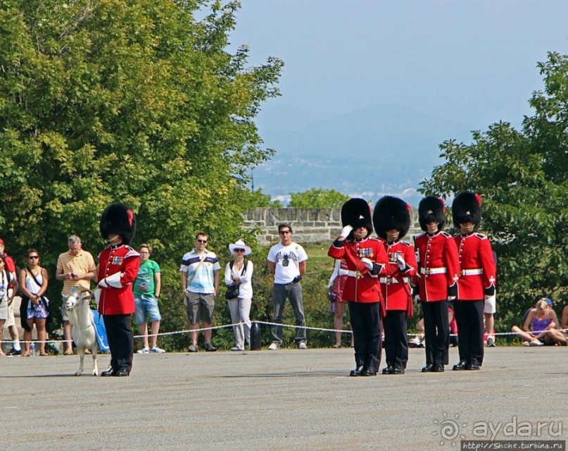 По плацу козла водили