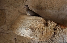 Калат-аль-Бахрейн — древняя гавань и столица Дилмуна