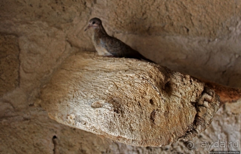 Калат-аль-Бахрейн — древняя гавань и столица Дилмуна
