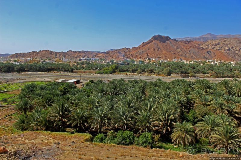 Fanja — первый город-оазис, встреченный нами в Омане