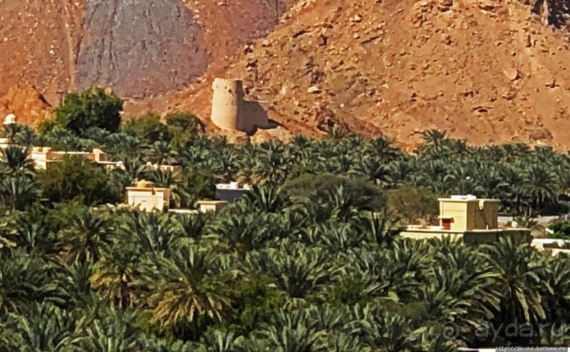 Fanja — первый город-оазис, встреченный нами в Омане