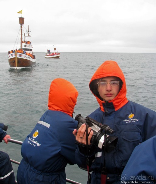 Удачная фотоохота на китов в бухте Хусавик