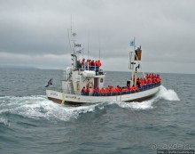 Удачная фотоохота на китов в бухте Хусавик