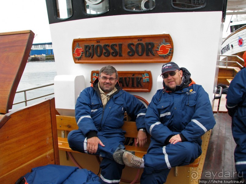 Удачная фотоохота на китов в бухте Хусавик