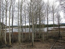 Альбом отзыва "Озеро Jackson и горная гряда Teton, 120 км по пути в Джексон"