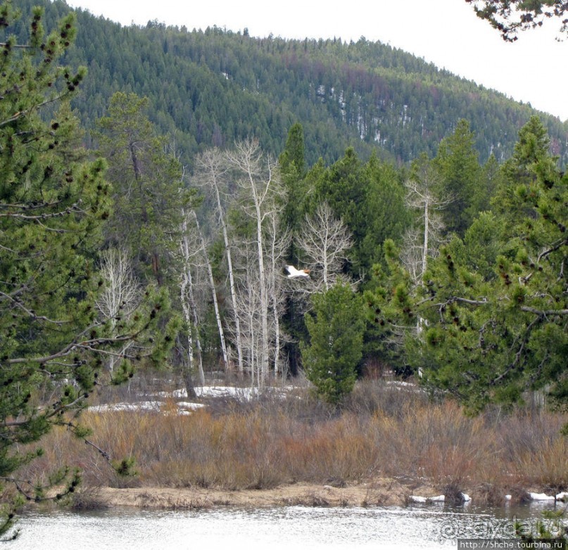 Озеро Jackson и горная гряда Teton, 120 км по пути в Джексон