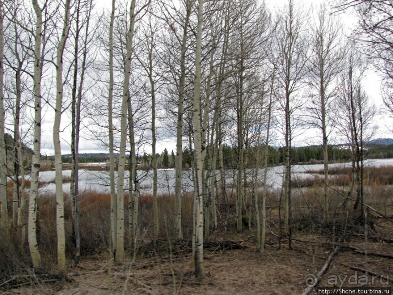 Озеро Jackson и горная гряда Teton, 120 км по пути в Джексон