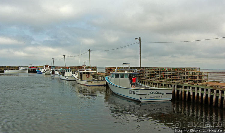 Деревня лобстероловов и одного шерифа
