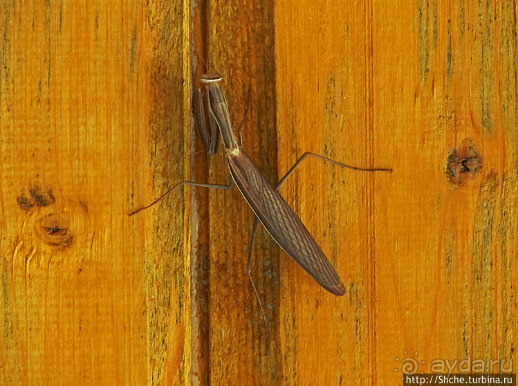 Наш визит в Белоградчик — жемчужину Северной Болгарии