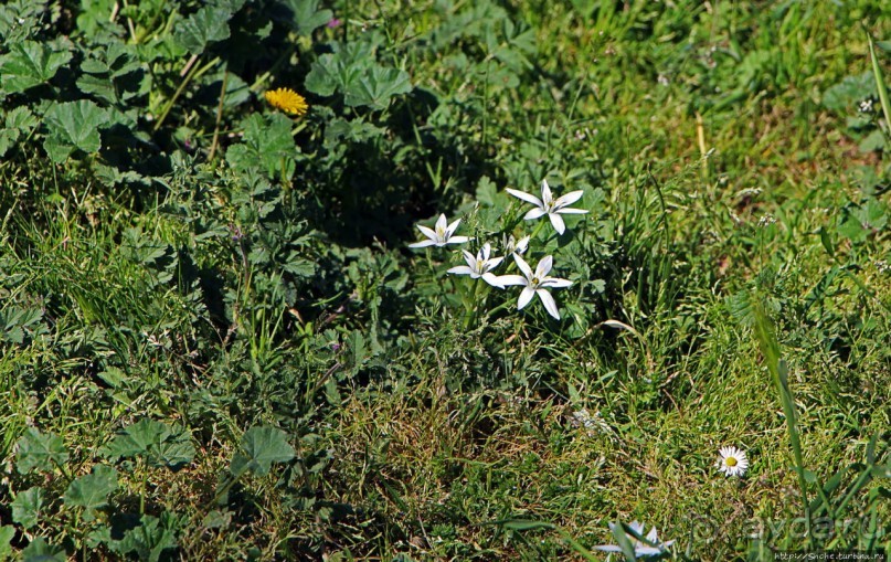 Первое апреля в парке Ретиро. Уже