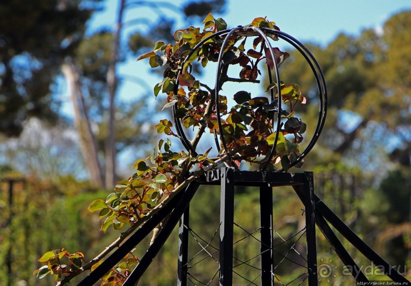 Первое апреля в парке Ретиро. Уже