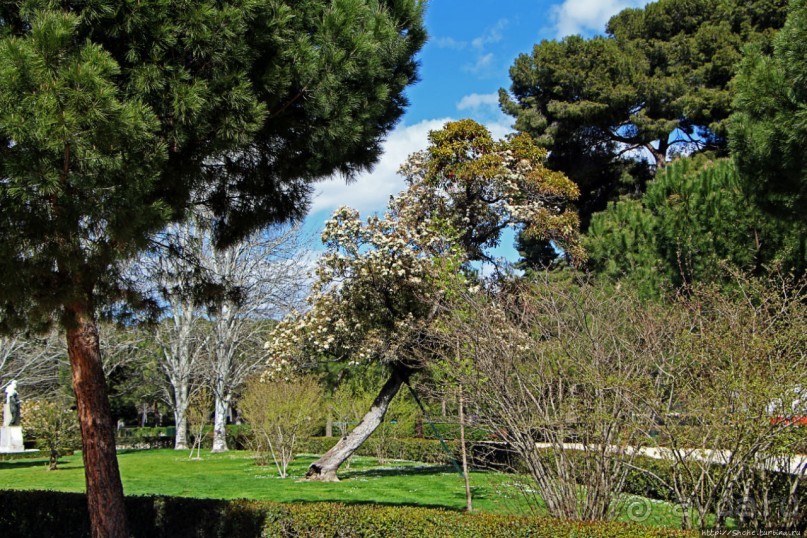 Первое апреля в парке Ретиро. Уже