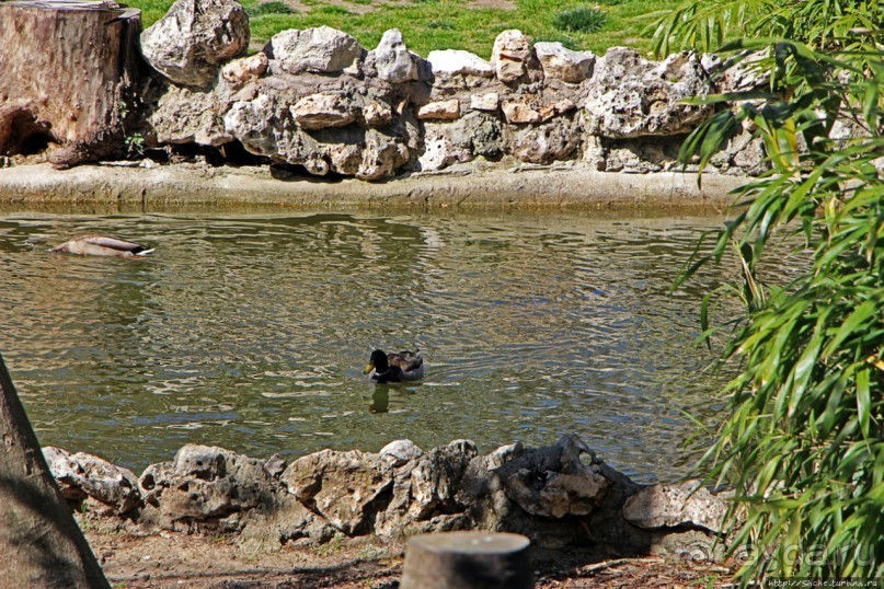 Первое апреля в парке Ретиро. Уже