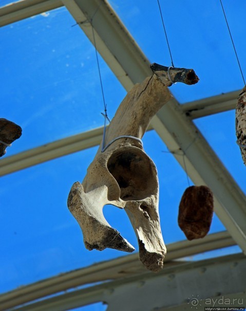 Первое апреля в парке Ретиро. Уже