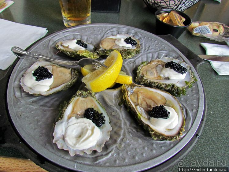 Свежие устрицы и крабы с лобстерами на мысе Кейп-Код