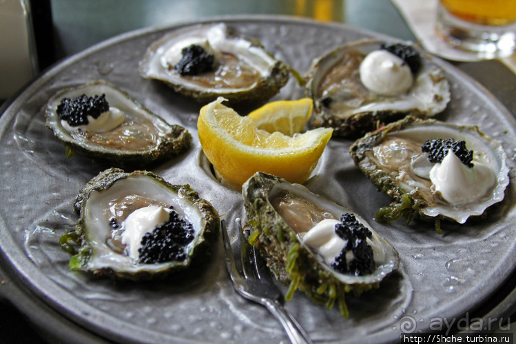 Свежие устрицы и крабы с лобстерами на мысе Кейп-Код