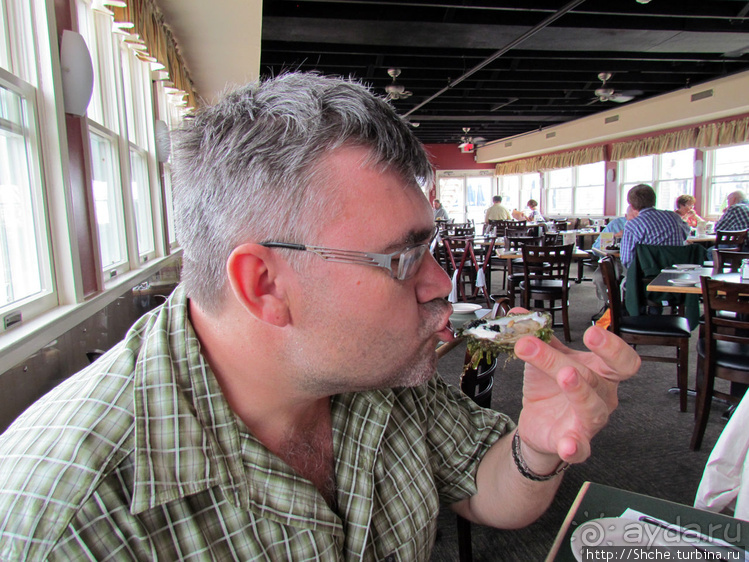 Свежие устрицы и крабы с лобстерами на мысе Кейп-Код