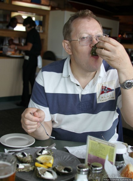 Свежие устрицы и крабы с лобстерами на мысе Кейп-Код