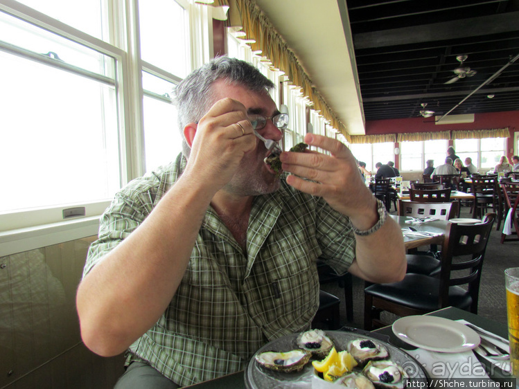 Свежие устрицы и крабы с лобстерами на мысе Кейп-Код