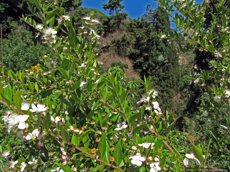 Savathianes mon. - типичный православный монастырь Крита