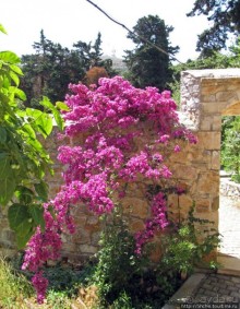 Savathianes mon. - типичный православный монастырь Крита