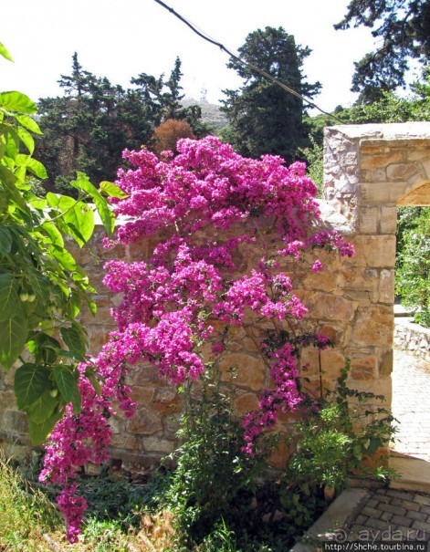 Savathianes mon. - типичный православный монастырь Крита