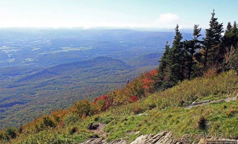В гостях у Радуги. Что, где, когда и с кем