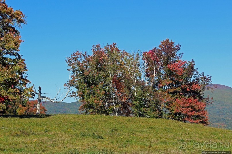 В гостях у Радуги. Что, где, когда и с кем