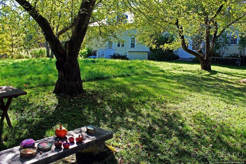 В гостях у Радуги. Что, где, когда и с кем