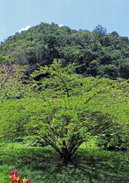"Священный рай Гватемалы", или "Пространство вне Времени"