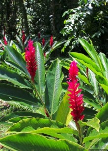 "Священный рай Гватемалы", или "Пространство вне Времени"