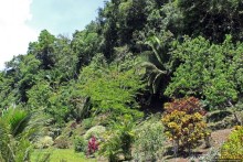 "Священный рай Гватемалы", или "Пространство вне Времени"