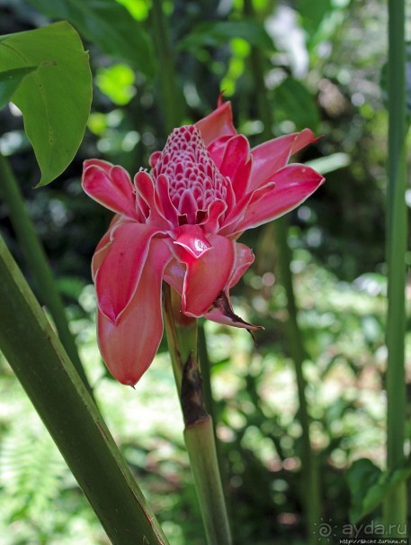 "Священный рай Гватемалы", или "Пространство вне Времени"