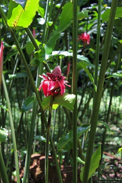 "Священный рай Гватемалы", или "Пространство вне Времени"