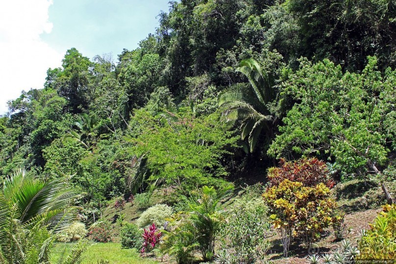 "Священный рай Гватемалы", или "Пространство вне Времени"