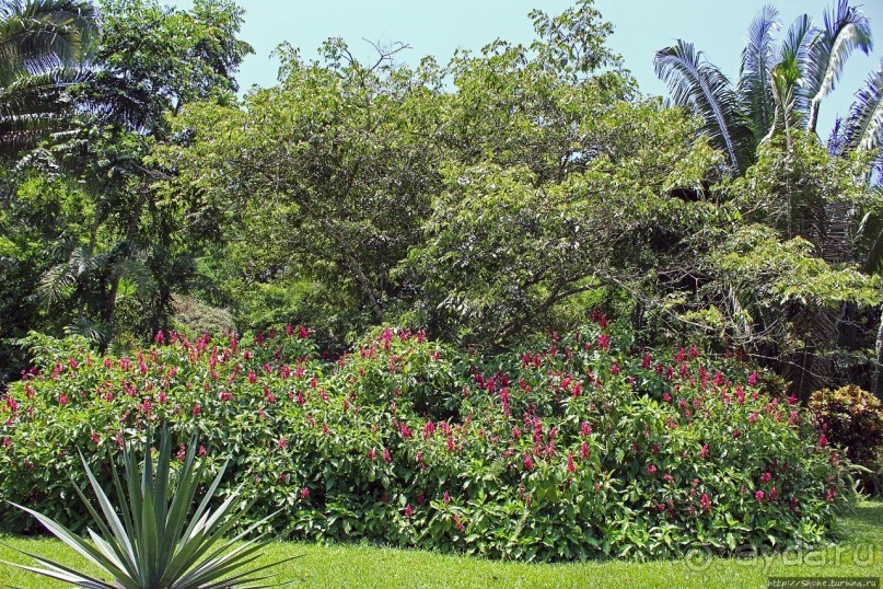 "Священный рай Гватемалы", или "Пространство вне Времени"