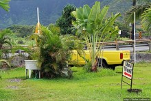 Альбом отзыва ""Huli Huli" — гавайская аутентичная традиционная харчевня"