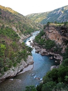 Альбом отзыва "Короткая фотопауза у безымянного каньона"