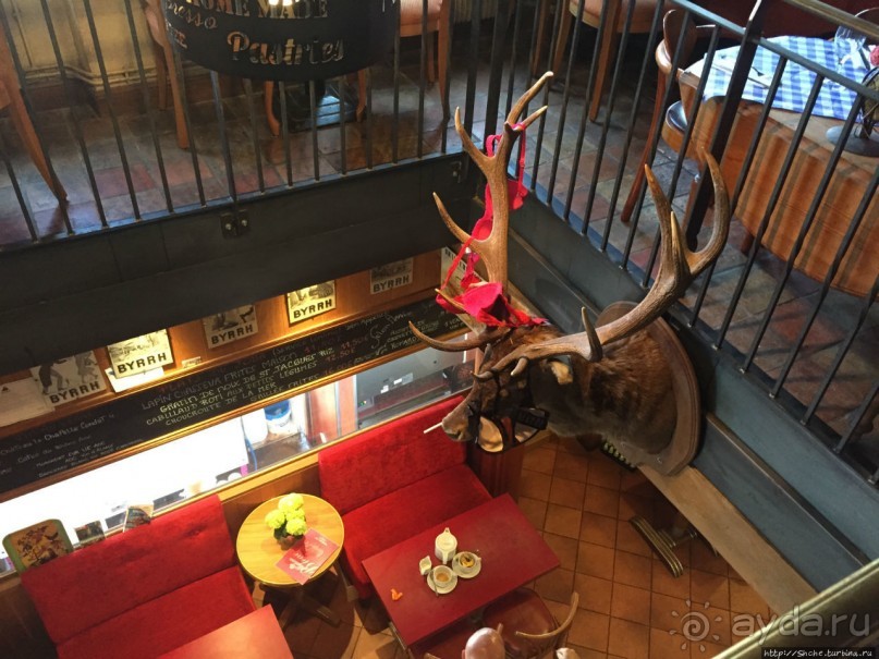 Франция-2016, мое робкое погружение