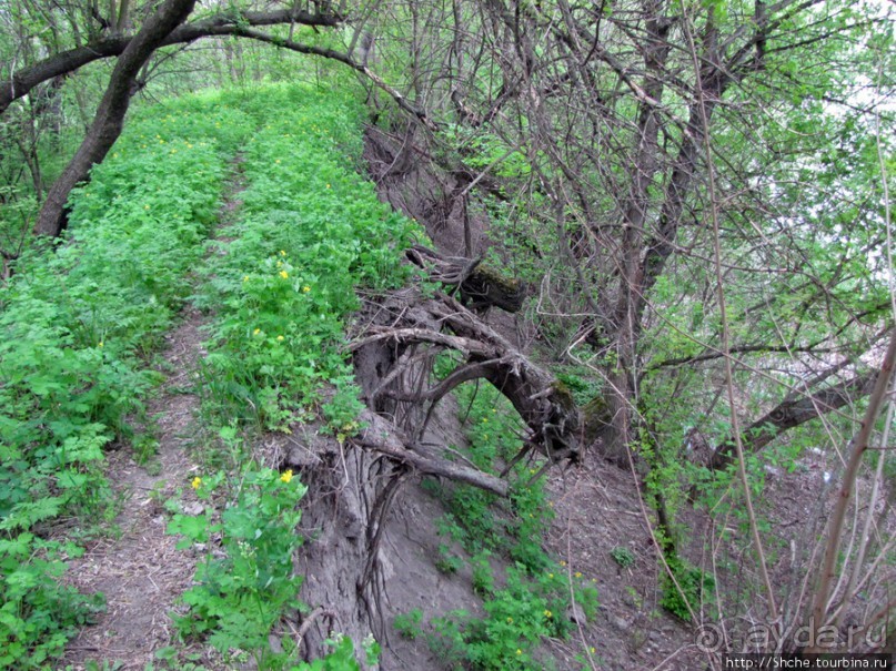 Южный Буг, водный поход, день 3. Гранитно-степное Побужье