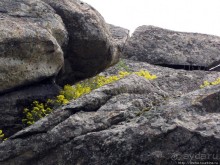 Южный Буг, водный поход, день 3. Гранитно-степное Побужье