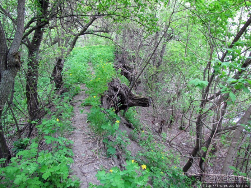 Южный Буг, водный поход, день 3. Гранитно-степное Побужье