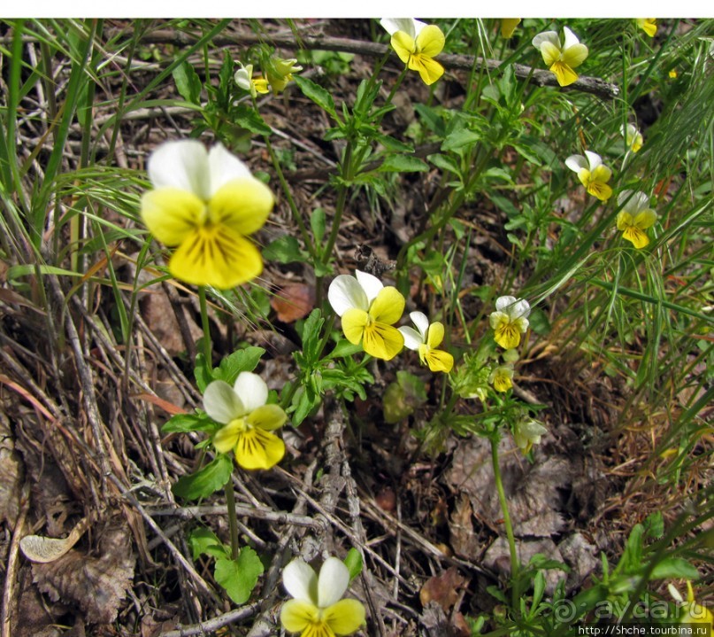 Южный Буг, водный поход, день 3. Гранитно-степное Побужье