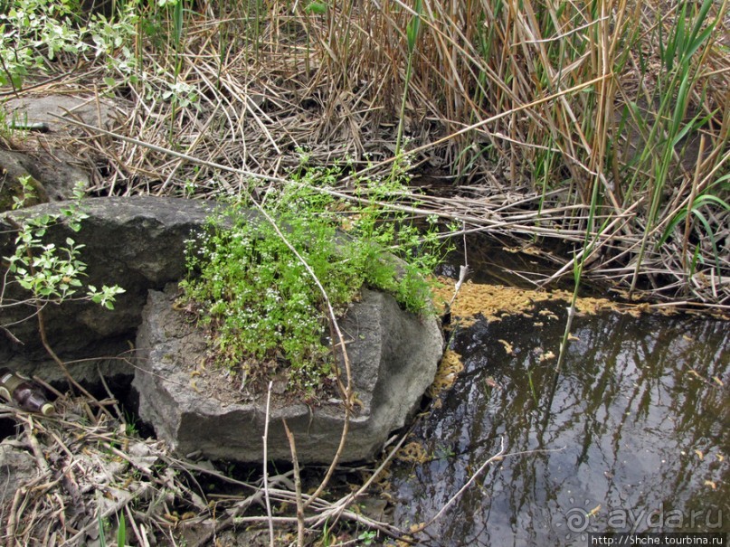 Южный Буг, водный поход, день 3. Гранитно-степное Побужье