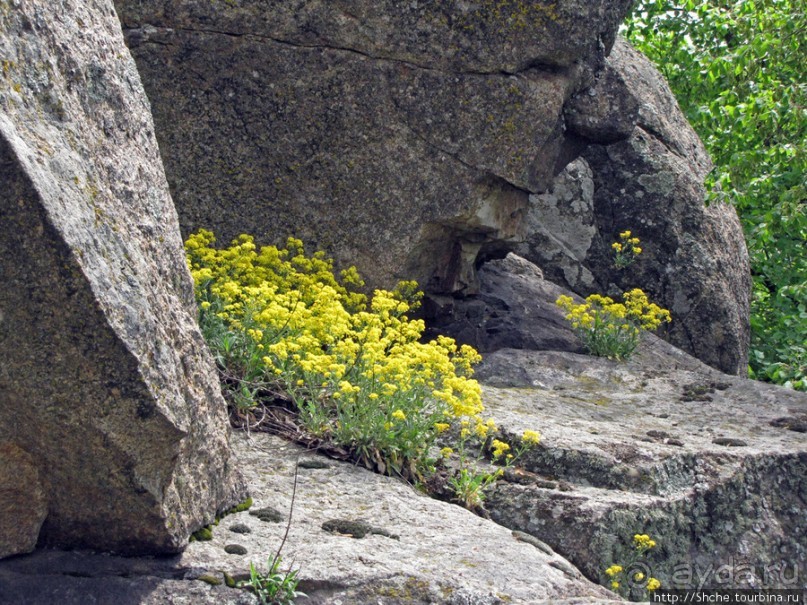 Южный Буг, водный поход, день 3. Гранитно-степное Побужье