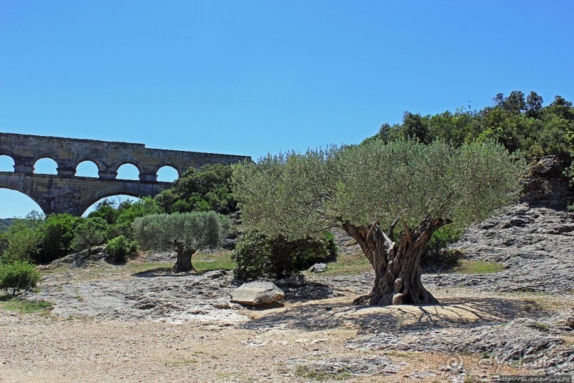 Альбом отзыва "Акведук Пон-дю-Гар — технический и художественный шедевр"