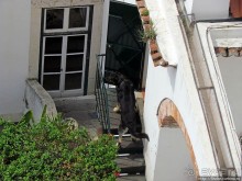 Еще взгляд на Лиссабон сверху, теперь с крепости Сан Жоржи