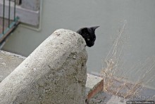 Еще взгляд на Лиссабон сверху, теперь с крепости Сан Жоржи