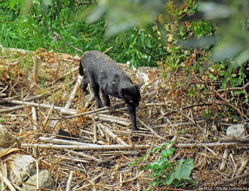 Еще взгляд на Лиссабон сверху, теперь с крепости Сан Жоржи